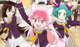 全肉动漫,肉感魅力与视觉盛宴的完美融合