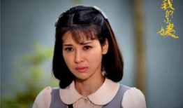 我的小姨电视剧剧情,情感纠葛与家庭纷争的悲喜人生